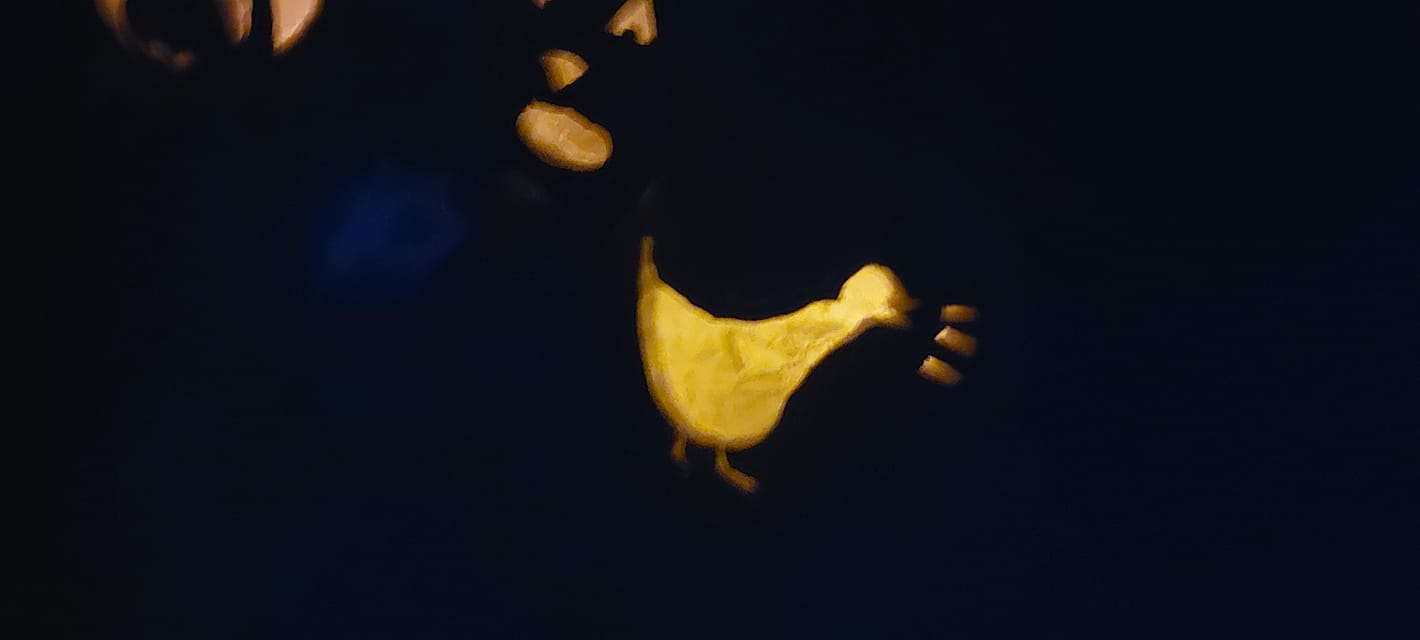 A lit jack-o-lanturn with an Untitled Goose Game goose carved on it sits in the dark